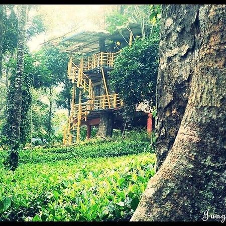 מונאר Jungle Jive Treehouse And Farm House מראה חיצוני תמונה