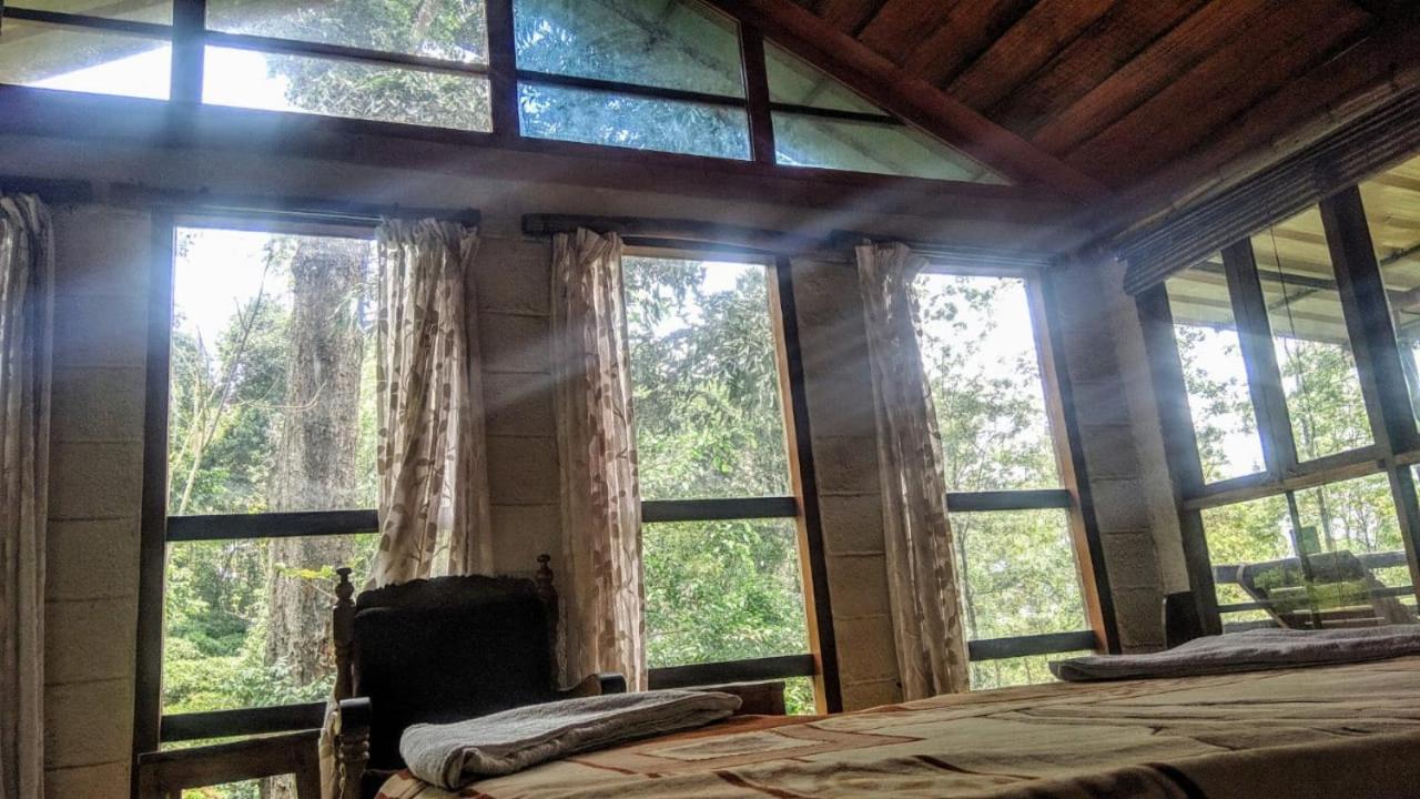 מונאר Jungle Jive Treehouse And Farm House מראה חיצוני תמונה