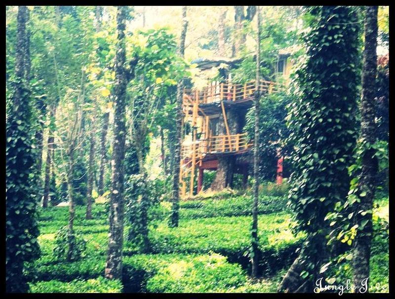 מונאר Jungle Jive Treehouse And Farm House מראה חיצוני תמונה