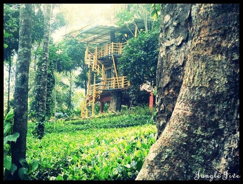 מונאר Jungle Jive Treehouse And Farm House מראה חיצוני תמונה