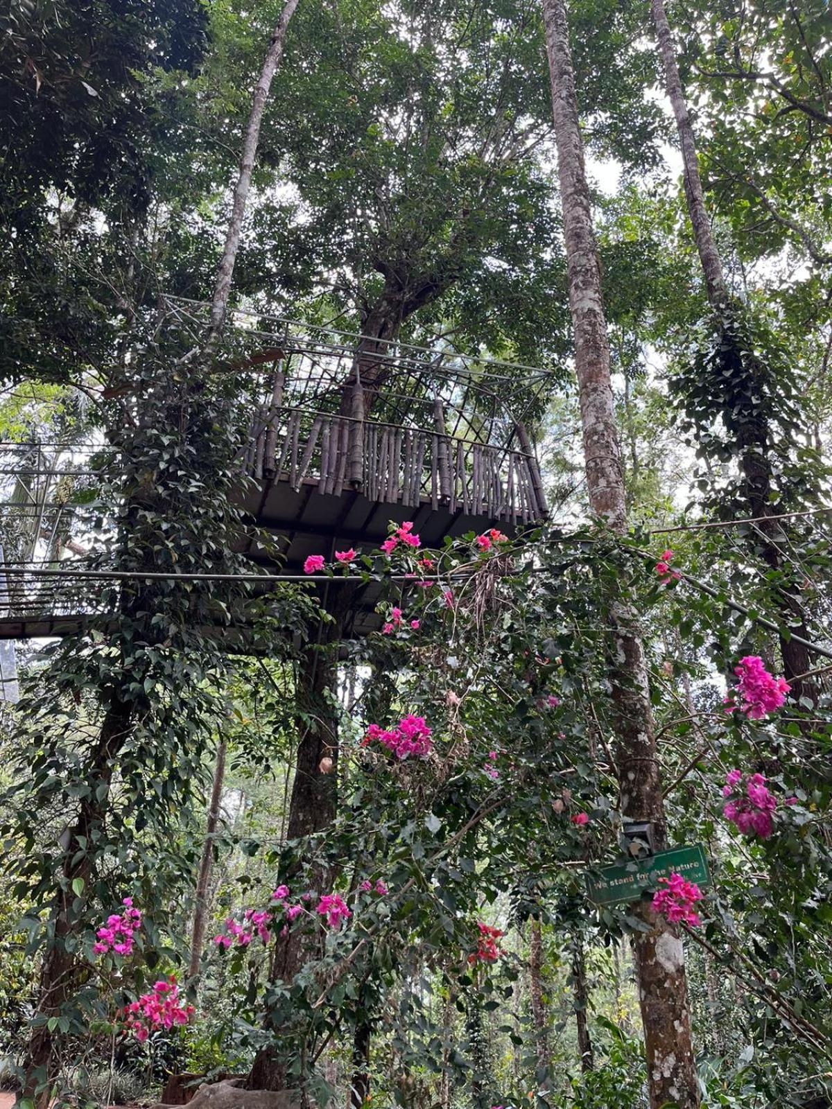 מונאר Jungle Jive Treehouse And Farm House מראה חיצוני תמונה