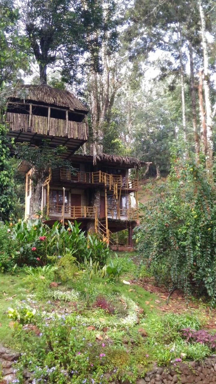 מונאר Jungle Jive Treehouse And Farm House מראה חיצוני תמונה