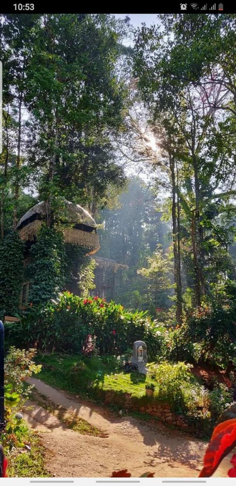 מונאר Jungle Jive Treehouse And Farm House מראה חיצוני תמונה
