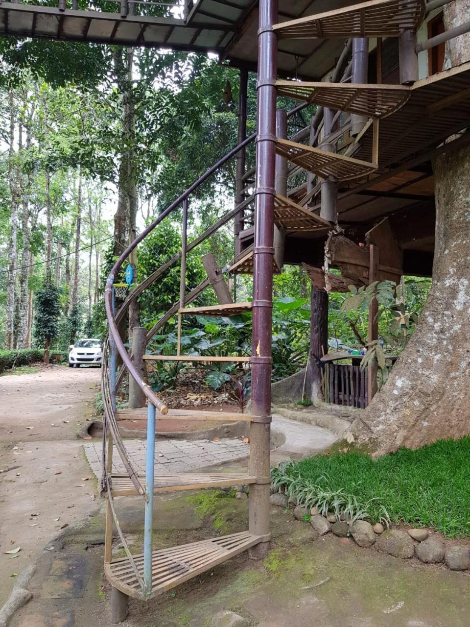 מונאר Jungle Jive Treehouse And Farm House מראה חיצוני תמונה